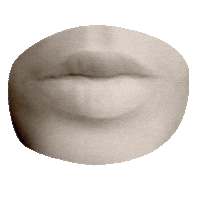 Burberrybeauty10 Sticker by Burberry