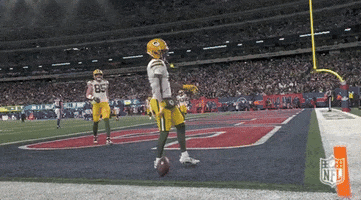 Green Bay Packers Football GIF by NFL