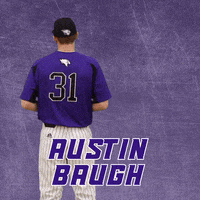 Baseball Wesleyan GIF by KWC Panthers