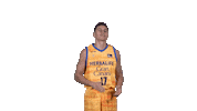 Liga Endesa Basketball Sticker by ACB