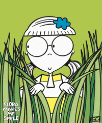 Looking Hide And Seek GIF