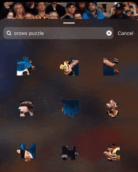 GIF by Adelaide Crows