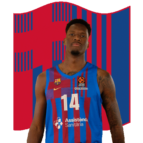 Basketball Basket Sticker by FC Barcelona