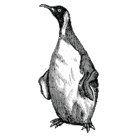 JeugdwerkGent spinning pinguin jeugdwerkgent Sticker
