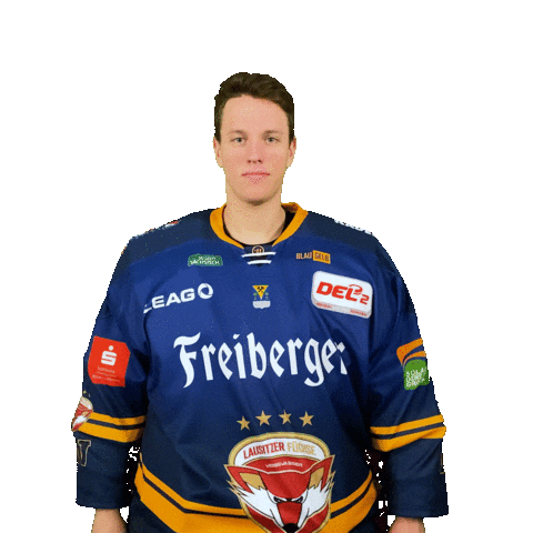 Sport Goal Sticker by Lausitzer Füchse