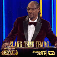 game show tbs GIF by Snoop Dogg Presents The Joker’s Wild