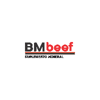 barracamissoes bmbeef Sticker