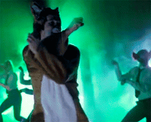 comedy video GIF