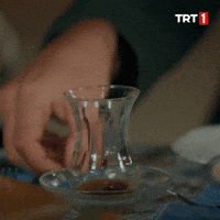 Kalkgidelim GIF by TRT