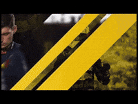 Race F1 GIF