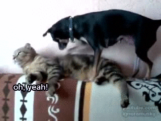 massaging oh yeah GIF by Cheezburger