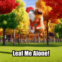 Fall Autumn GIF by Guinea Gambino