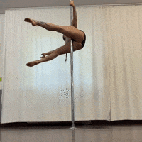 Pole GIF by Polearts
