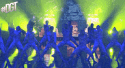 Dance Dancing GIF by Dominicana's Got Talent