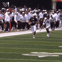 Sport Celebrate GIF by Vanderbilt Athletics