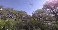 texas am sun GIF by Texas A&M University