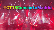 ot concierto GIF by Operación Triunfo