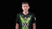 E Sports Sport GIF by VfL Wolfsburg