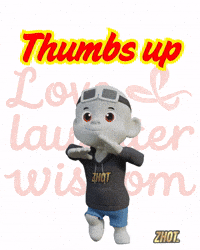 Thumbs Ok GIF by Zhot