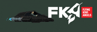 FlyingKiwiAngels another fka friday fka news GIF