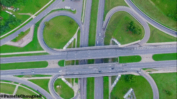 Snail Pamela Chougne GIF