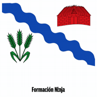 Castilla Y Leon Flag GIF by Formación Ninja