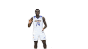 Basketball Dancing Sticker by Delaware Blue Hens