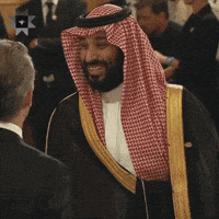 Middle East GIF by Systemic Altruism