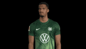 Germany No GIF by VfL Wolfsburg