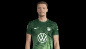 Fail Germany GIF by VfL Wolfsburg