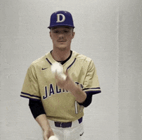 Defibsb GIF by DefianceCollegeAthletics