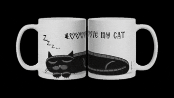 significar gatos caneca gato preto pet lovers GIF