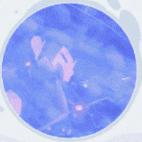 RRQ_GIF giphyupload GIF