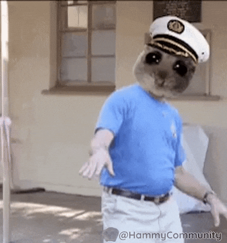 Dance Captain GIF by Sad Hamster