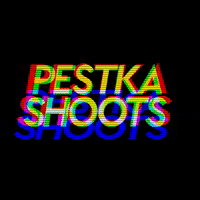 pestkashoots pestka shoots GIF