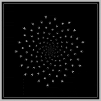 Mesmerizing Black And White GIF by xponentialdesign