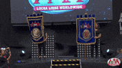luchalibreaaa  GIF