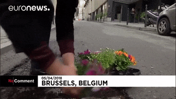 flowers potholes GIF by euronews