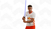 Star Wars Fight GIF by RB Leipzig