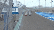 Go Green Flag GIF by NASCAR