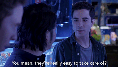 esther povitsky benji aflalo GIF