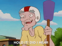hey arnold nicksplat GIF