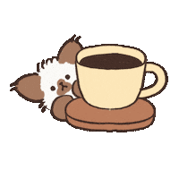 Happy Birthday Ok Sticker by koimoffee