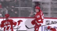 Ice Hockey Sport GIF by NHL