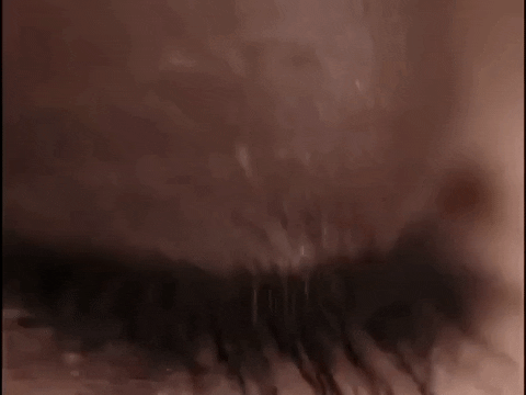 maroon5 giphydvr maroon 5 sunday morning giphym5sundaymorning GIF