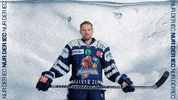 Hockey Tor GIF by Iserlohn Roosters