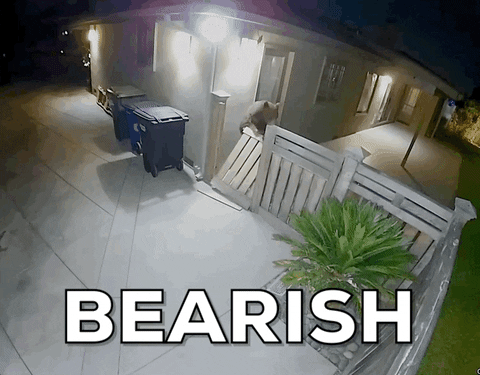 Brown Bear GIF by OKX
