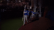 World Baseball Classic Sport GIF by MLB