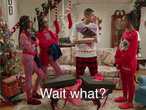 Wait What Holiday GIF by Coach