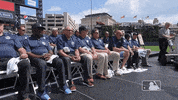 Standing Major League Baseball GIF by Detroit Tigers
